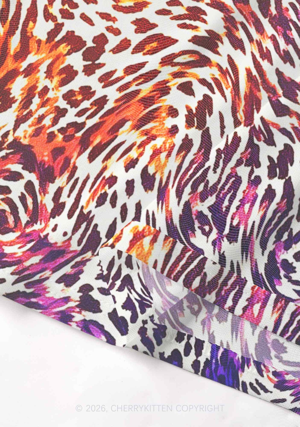 Lesbian Leopard Pride Y2K Mesh Crop Top Cherrykitten
