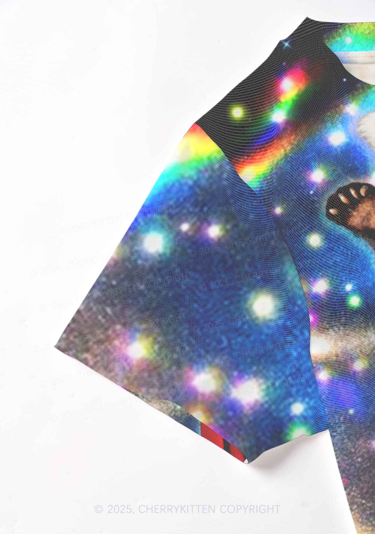 Super Raccoon Y2K Mesh Crop Top Cherrykitten