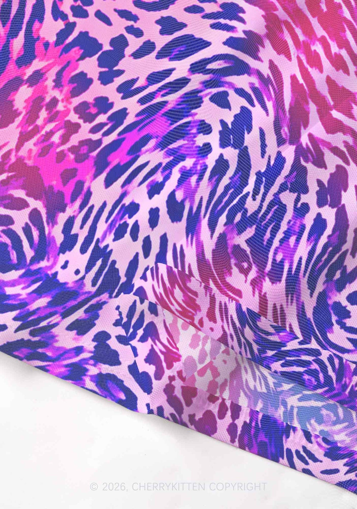 Bisexual Leopard Pride Y2K Mesh Crop Top Cherrykitten