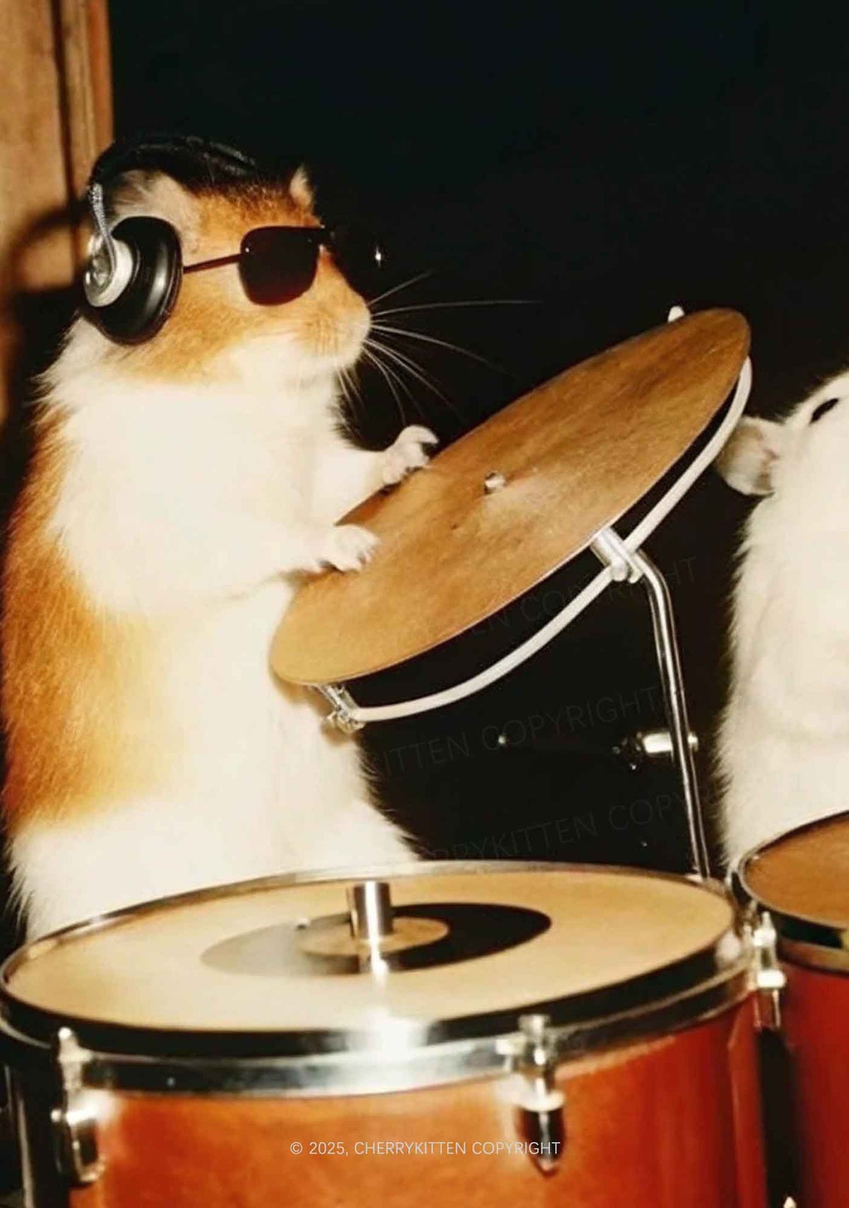 Rats Drummer Y2K Mesh Crop Top Cherrykitten
