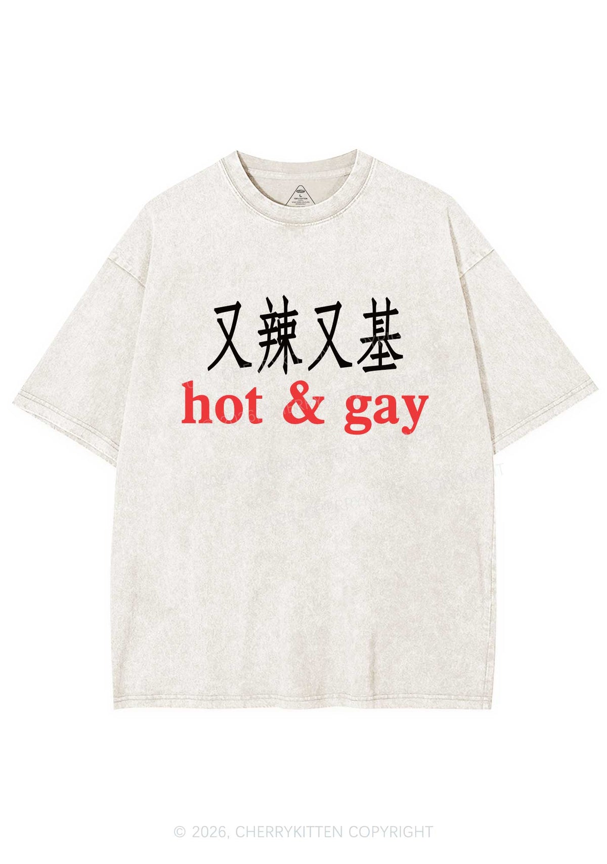Hot Gay Pride Y2K Shirts Washed Tee Cherrykitten