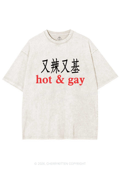 Hot Gay Pride Y2K Shirts Washed Tee Cherrykitten