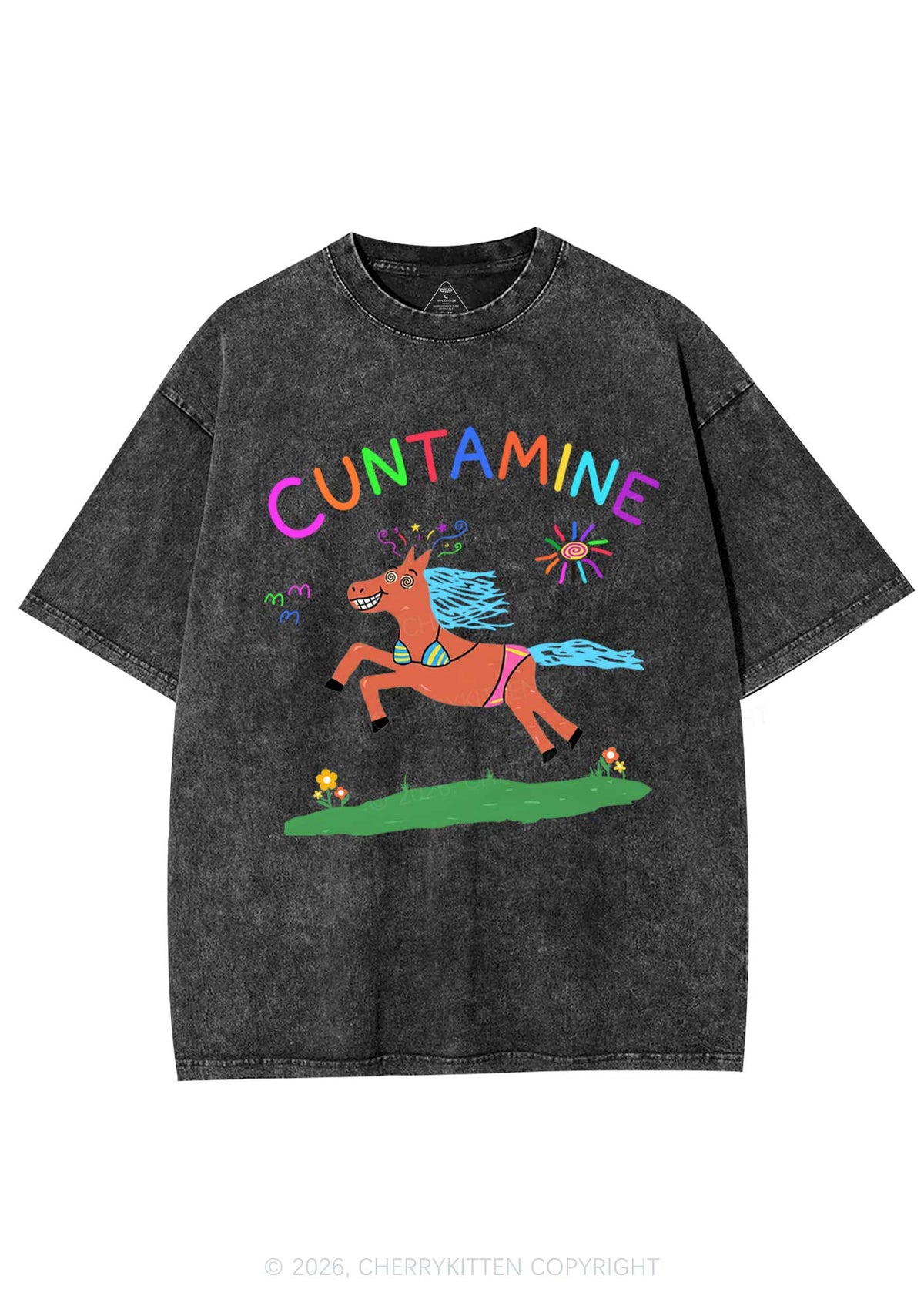Cxxtamine Pony Y2K Shirts Washed Tee Cherrykitten