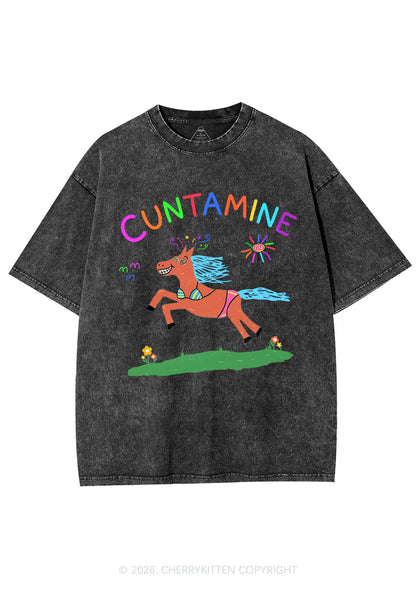 Cxxtamine Pony Y2K Shirts Washed Tee Cherrykitten