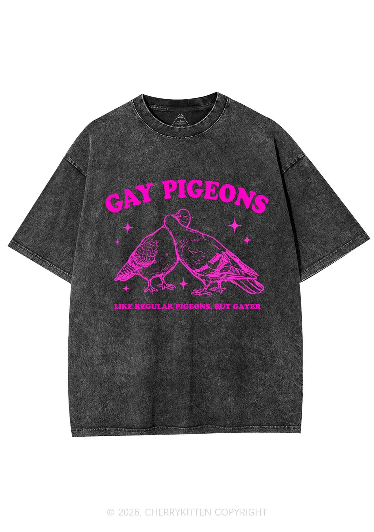 Gay Pigeons Kissing Pride Y2K Shirts Washed Tee Cherrykitten