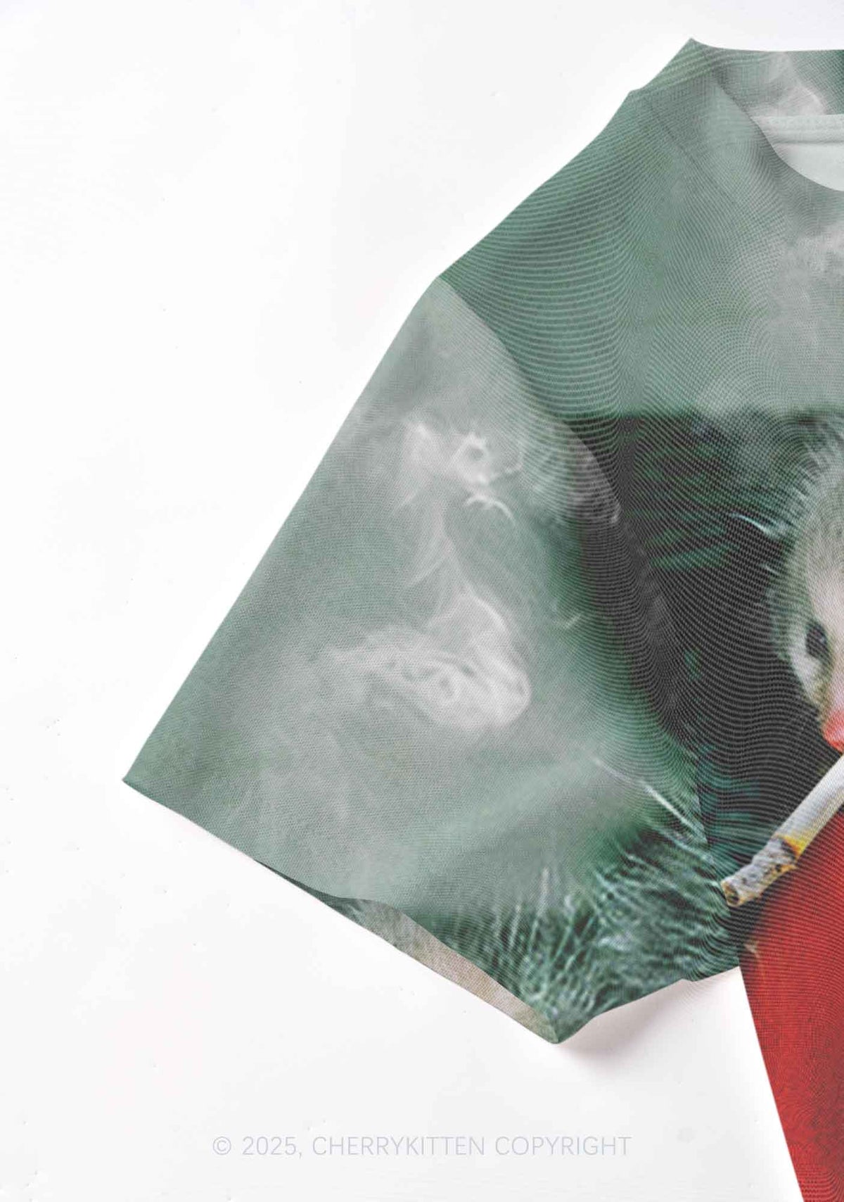 Smoking Badass Possum Y2K Mesh Crop Top Cherrykitten