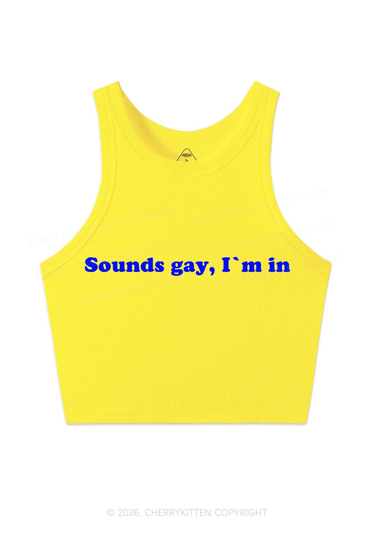 Sounds Gay Y2K Crop Tank Top Cherrykitten