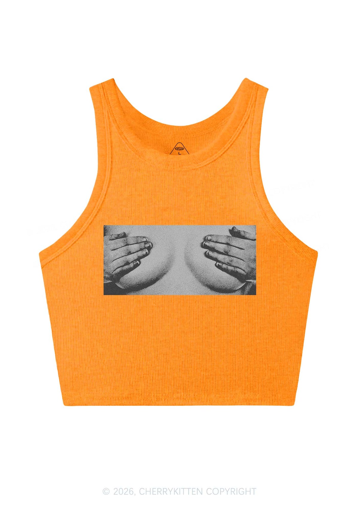 Touch Bxxbs Y2K Crop Tank Top Cherrykitten