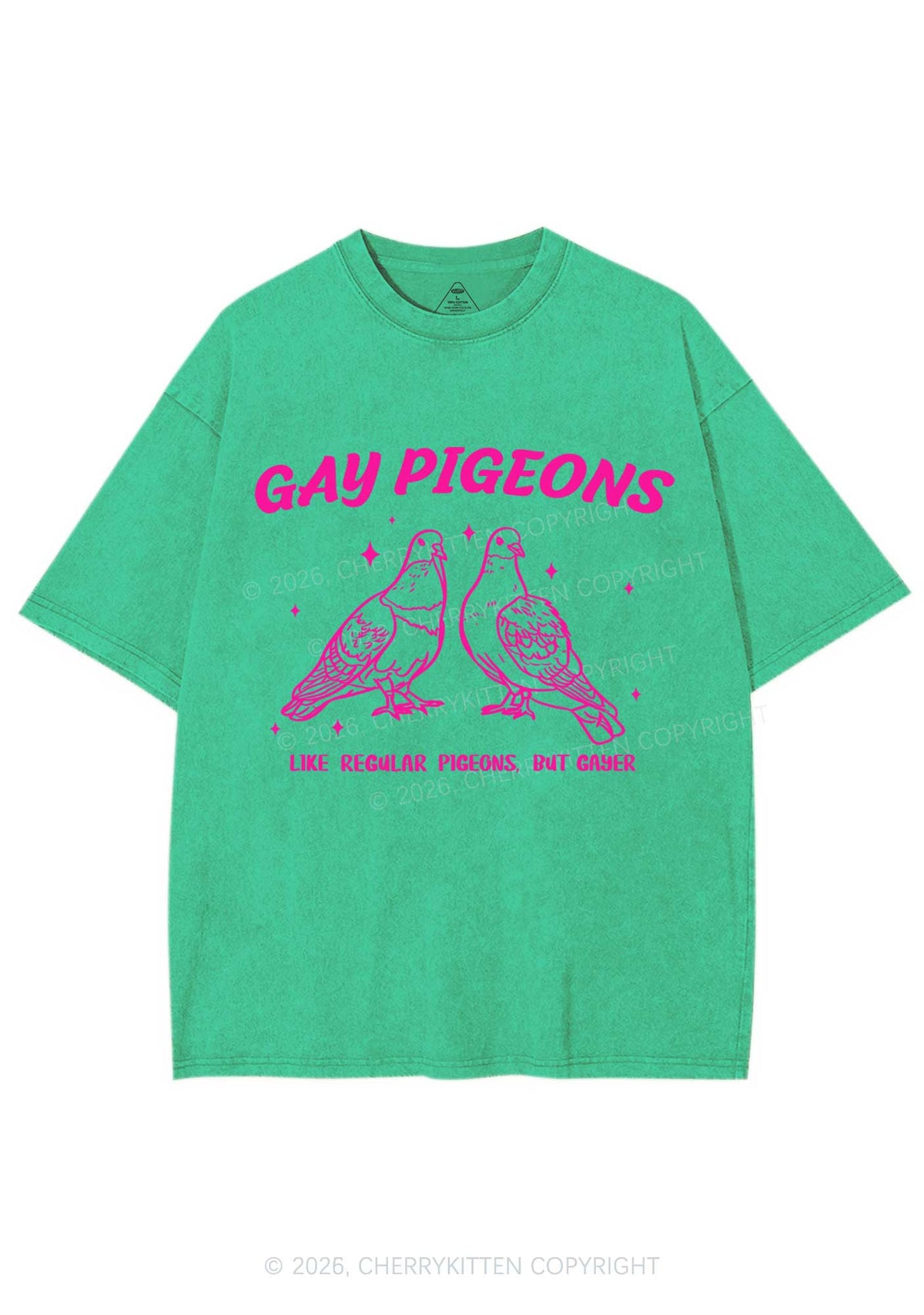 Gay Pigeons Pride Y2K Shirts Washed Tee Cherrykitten