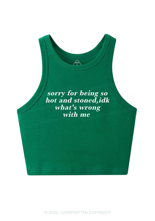 Sorry For Being Hot And Stoned Y2K Crop Tank Top Cherrykitten