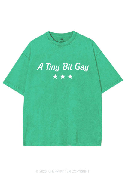 A Tiny Bit Gay Pride Y2K Shirts Washed Tee Cherrykitten