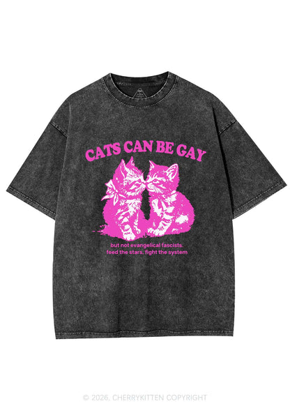 Cat Can Be Gay Pride Y2K Shirts Washed Tee Cherrykitten