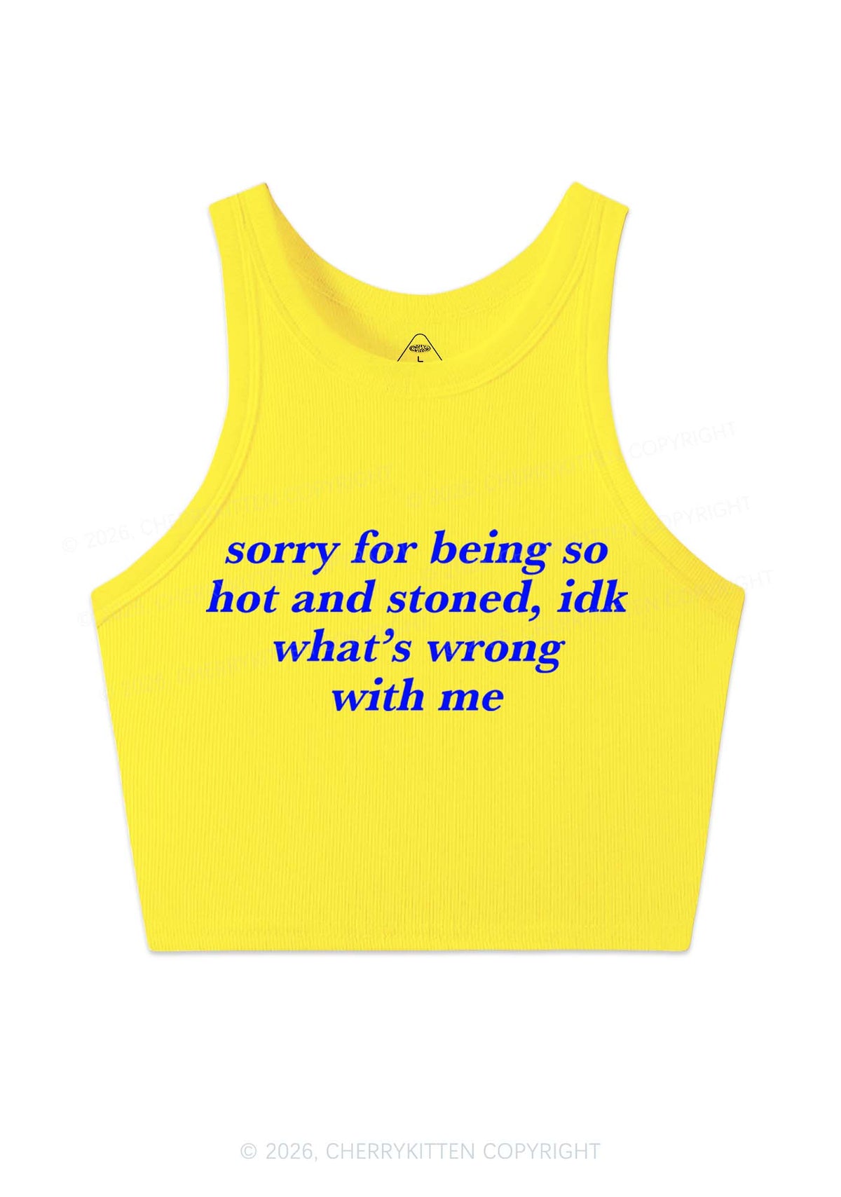 Sorry For Being Hot And Stoned Y2K Crop Tank Top Cherrykitten