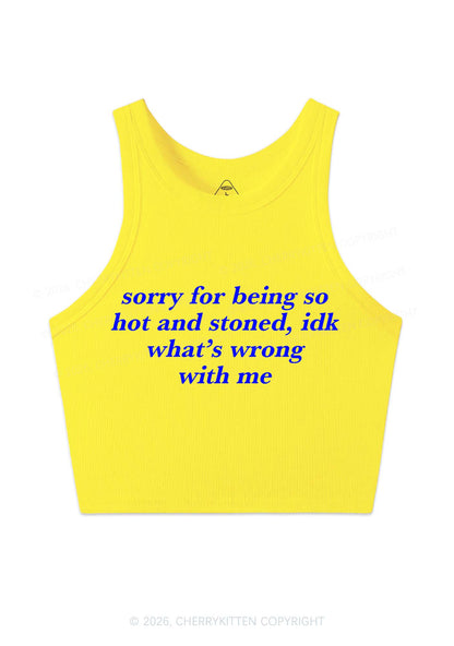 Sorry For Being Hot And Stoned Y2K Crop Tank Top Cherrykitten