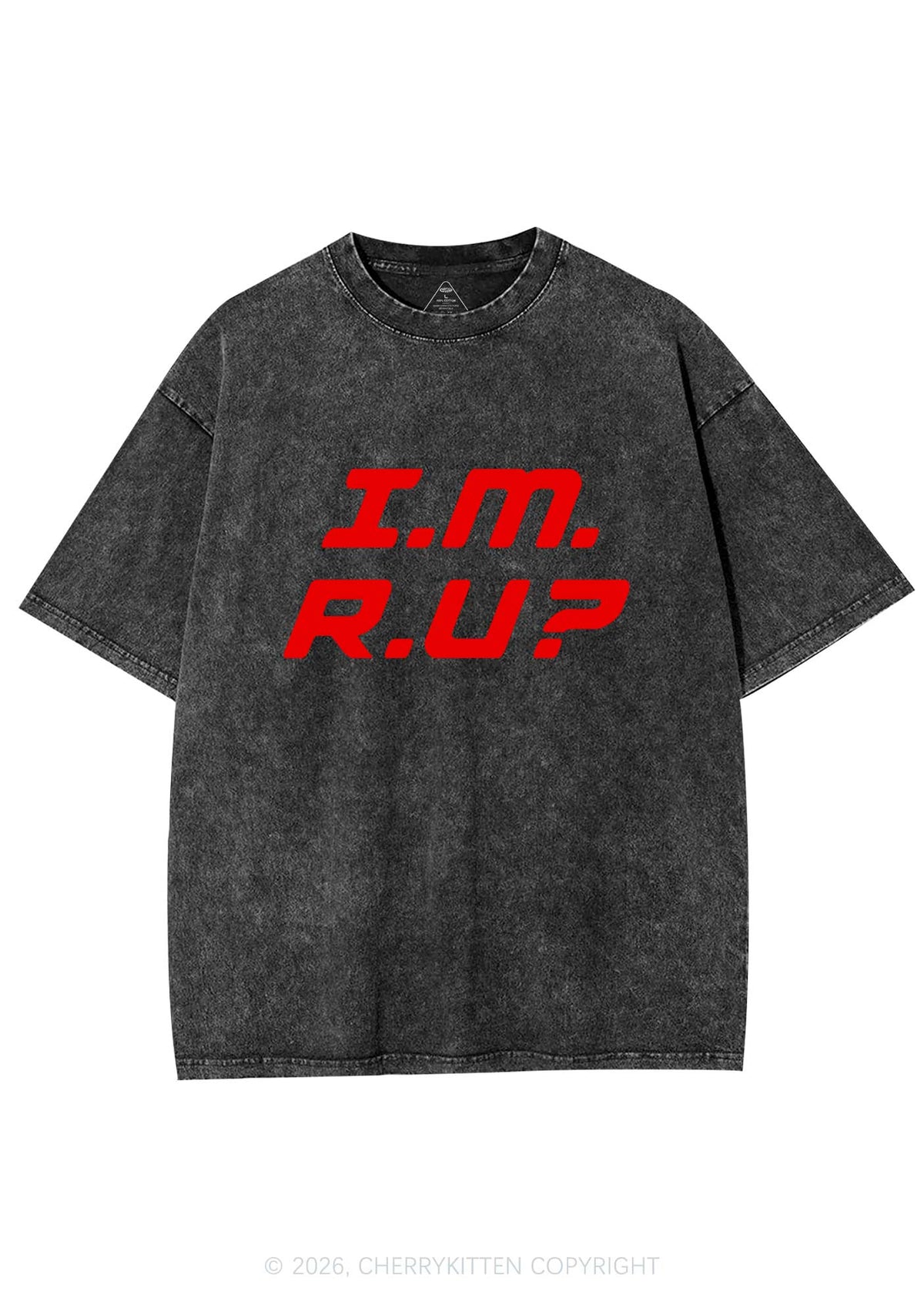 Im Ru Pride Y2K Shirts Washed Tee Cherrykitten