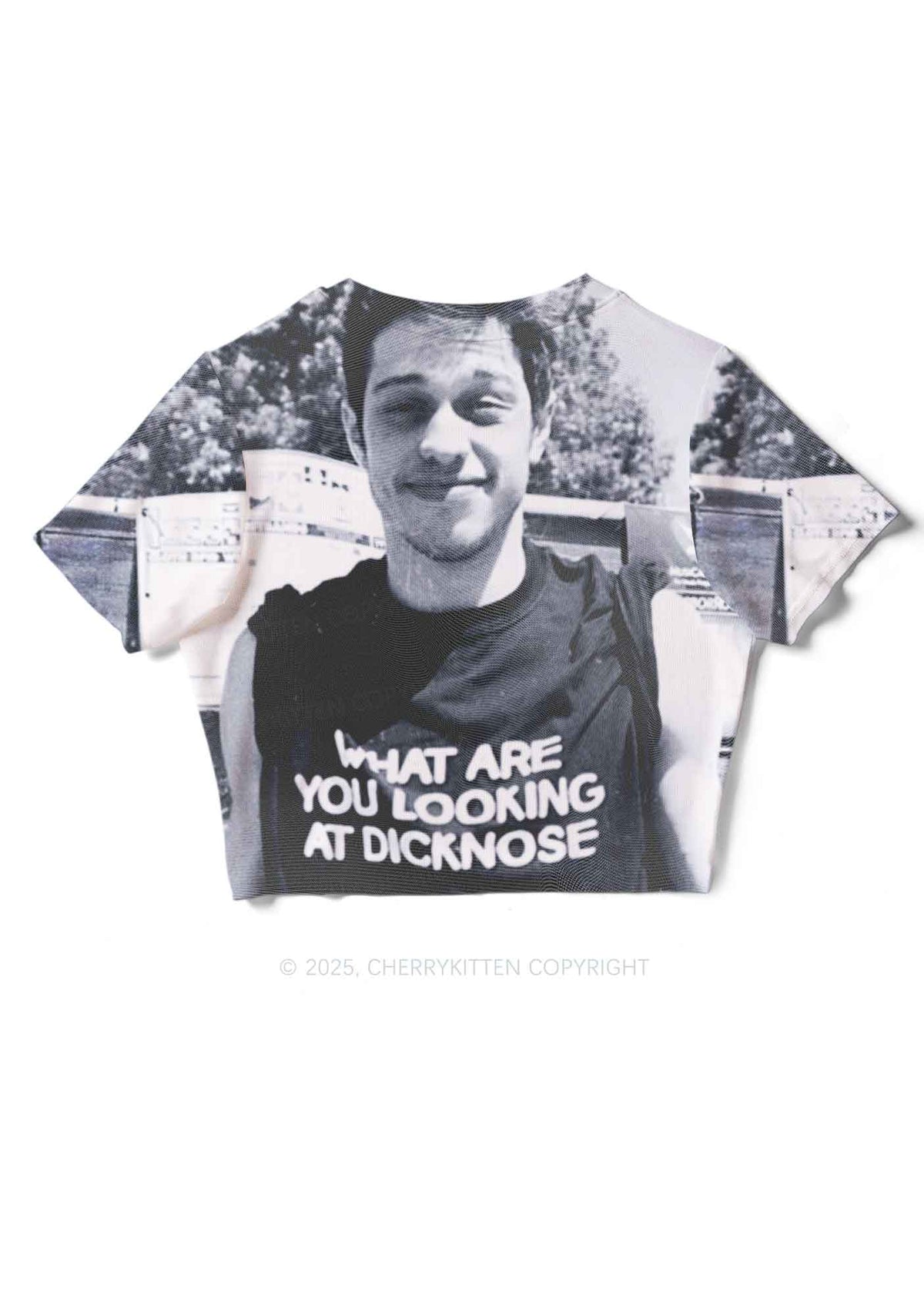 What Are You Looking At Y2K Mesh Crop Top Cherrykitten