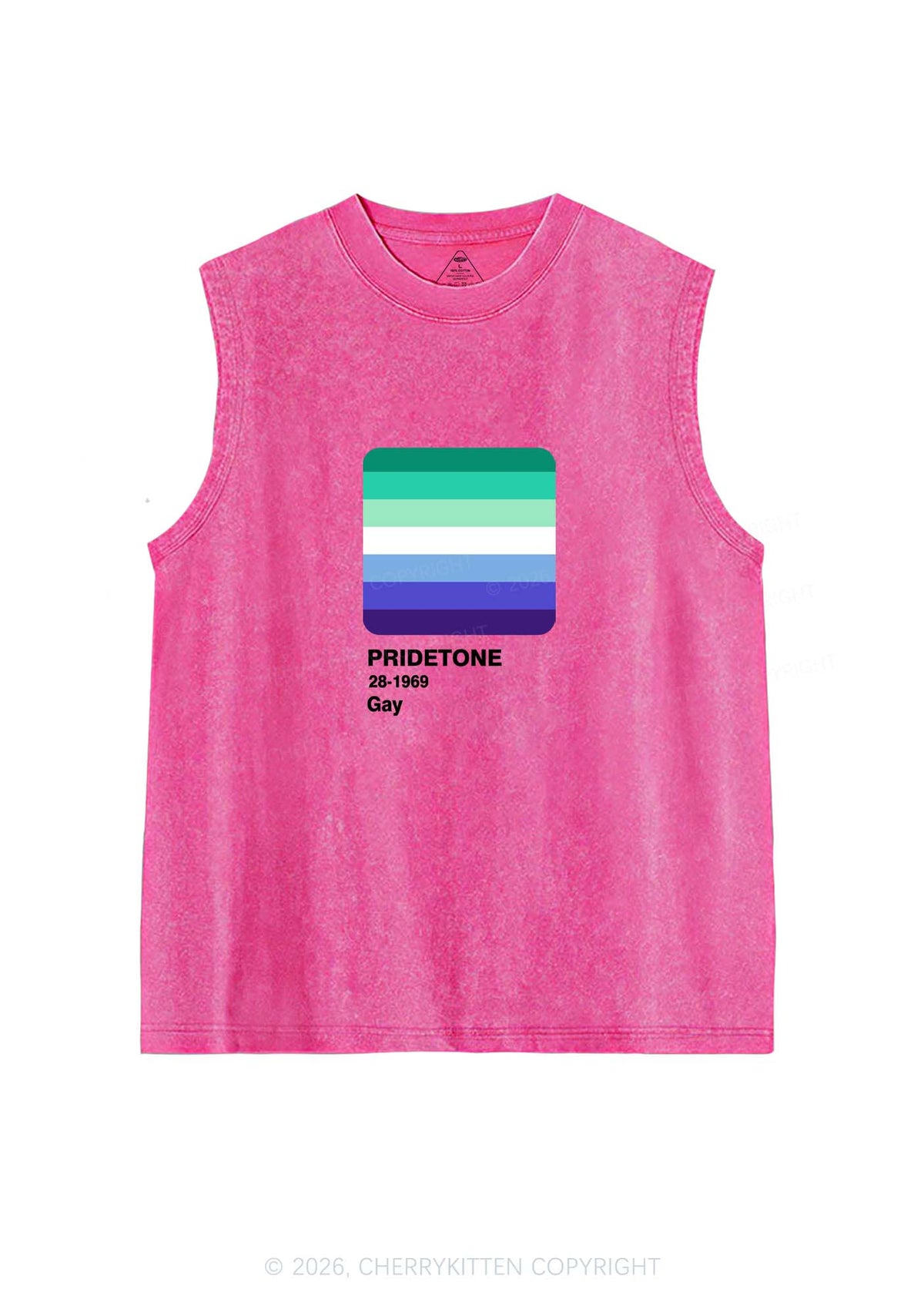 Pridetone Gay Pride Y2K Washed Muscle Tank Cherrykitten