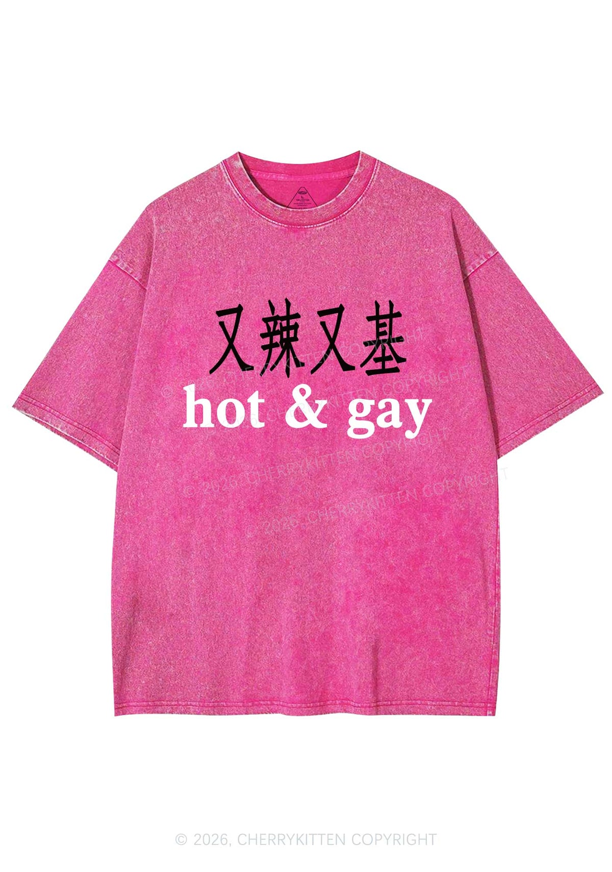 Hot Gay Pride Y2K Shirts Washed Tee Cherrykitten