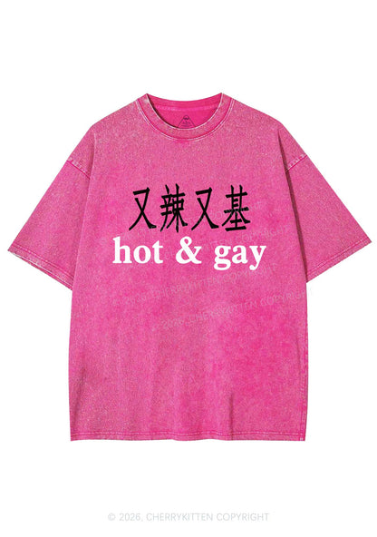 Hot Gay Pride Y2K Shirts Washed Tee Cherrykitten