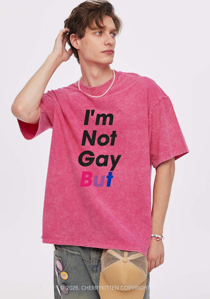 Im Not Gay But Pride Y2K Shirts Washed Tee Cherrykitten