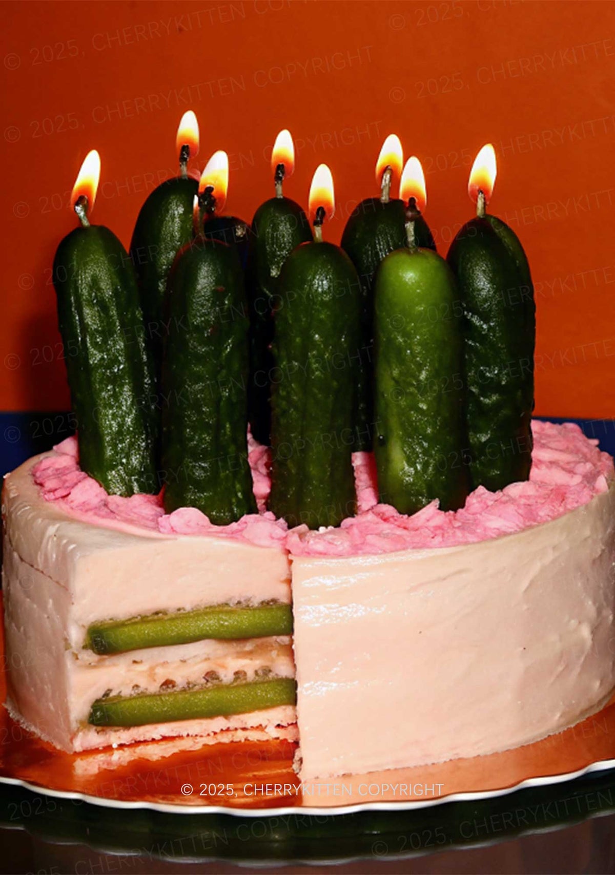 Pickle Cake Y2K Mesh Crop Top Cherrykitten