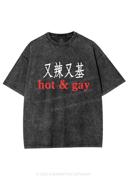 Hot Gay Pride Y2K Shirts Washed Tee Cherrykitten