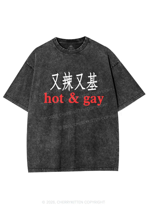 Hot Gay Pride Y2K Shirts Washed Tee Cherrykitten