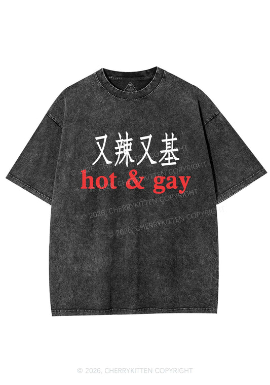 Hot Gay Pride Y2K Shirts Washed Tee Cherrykitten
