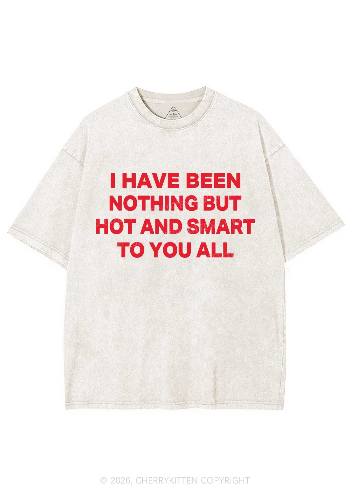 I Have Been Hot And Smart Y2K Shirts Washed Tee Cherrykitten