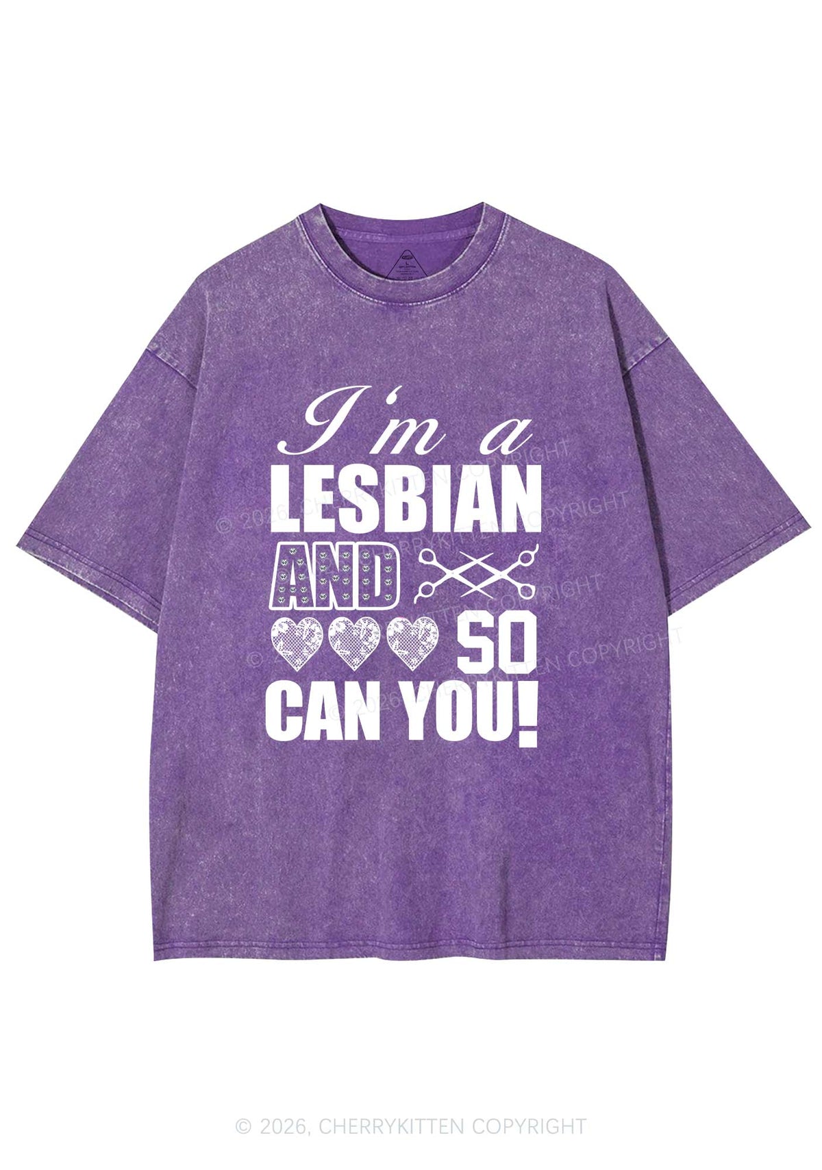 Im A Lesbian And So Can You Pride Y2K Shirts Washed Tee Cherrykitten