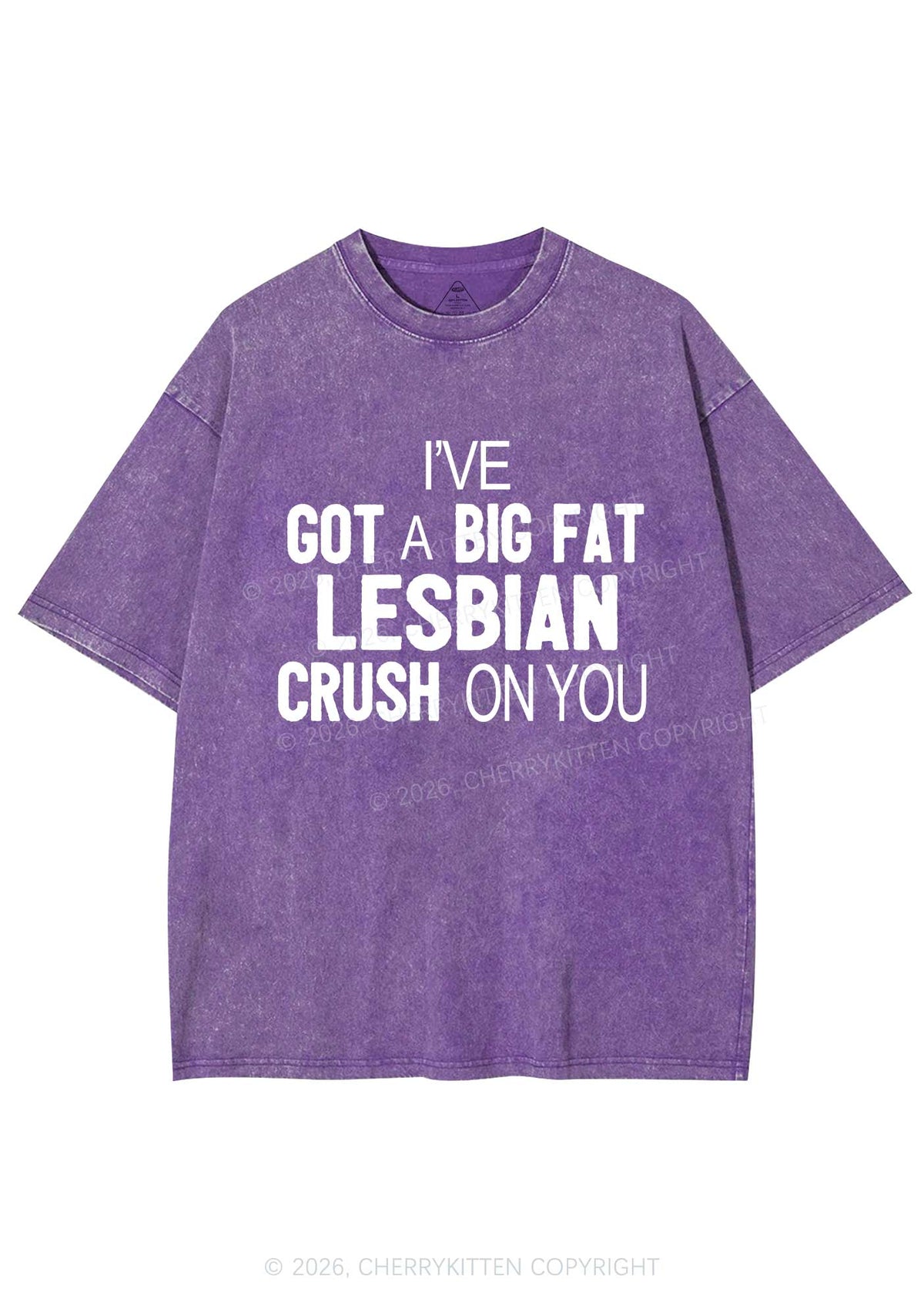Big Fat Lesbian Crush Pride Y2K Shirts Washed Tee Cherrykitten