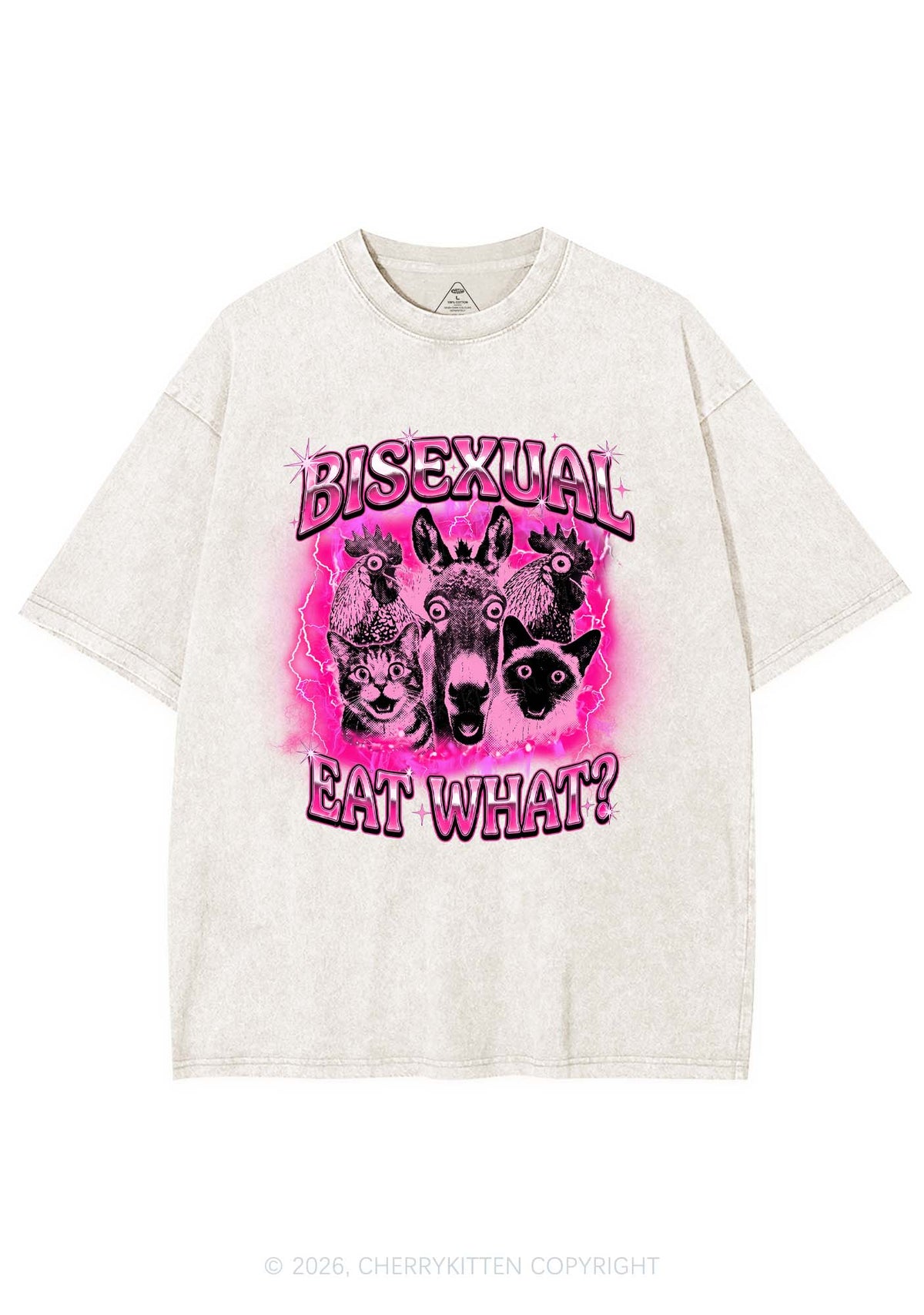 Bisexual Eat What Pride Y2K Shirts Washed Tee Cherrykitten