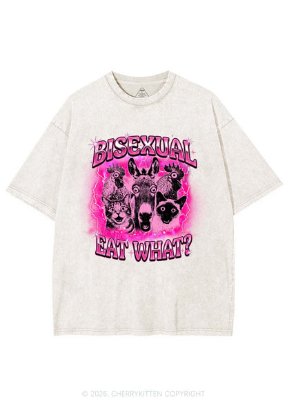 Bisexual Eat What Pride Y2K Shirts Washed Tee Cherrykitten