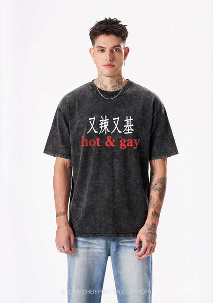 Hot Gay Pride Y2K Shirts Washed Tee Cherrykitten