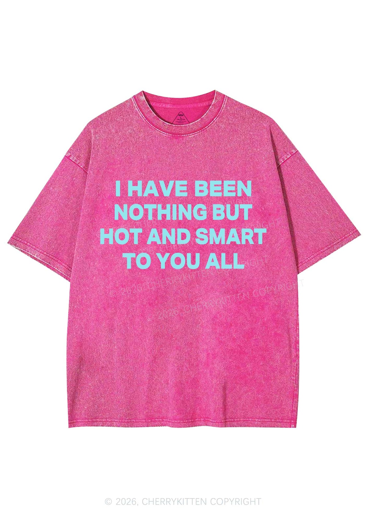 I Have Been Hot And Smart Y2K Shirts Washed Tee Cherrykitten