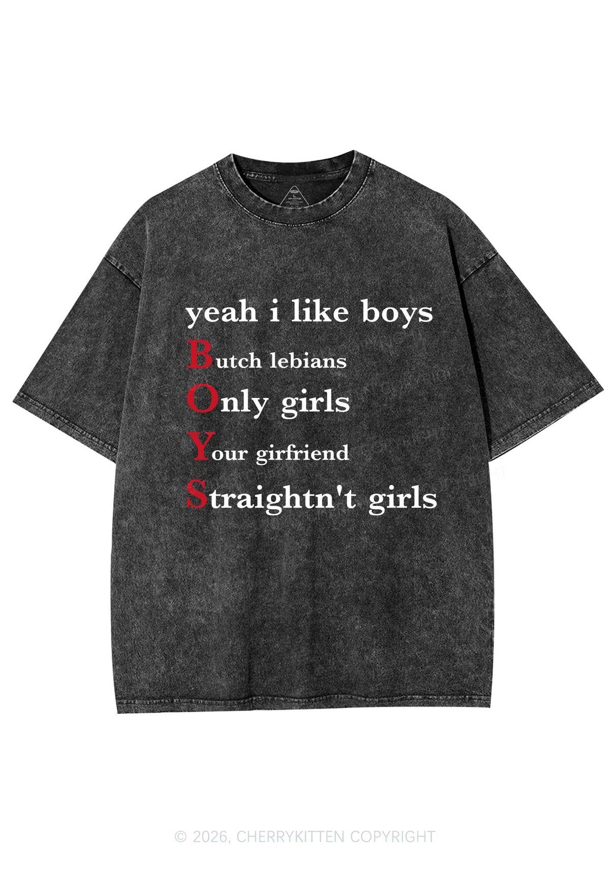 Yeah I Like Boys Pride Y2K Shirts Washed Tee Cherrykitten