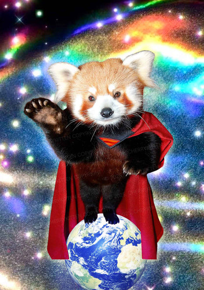 Super Raccoon Y2K Mesh Crop Top Cherrykitten