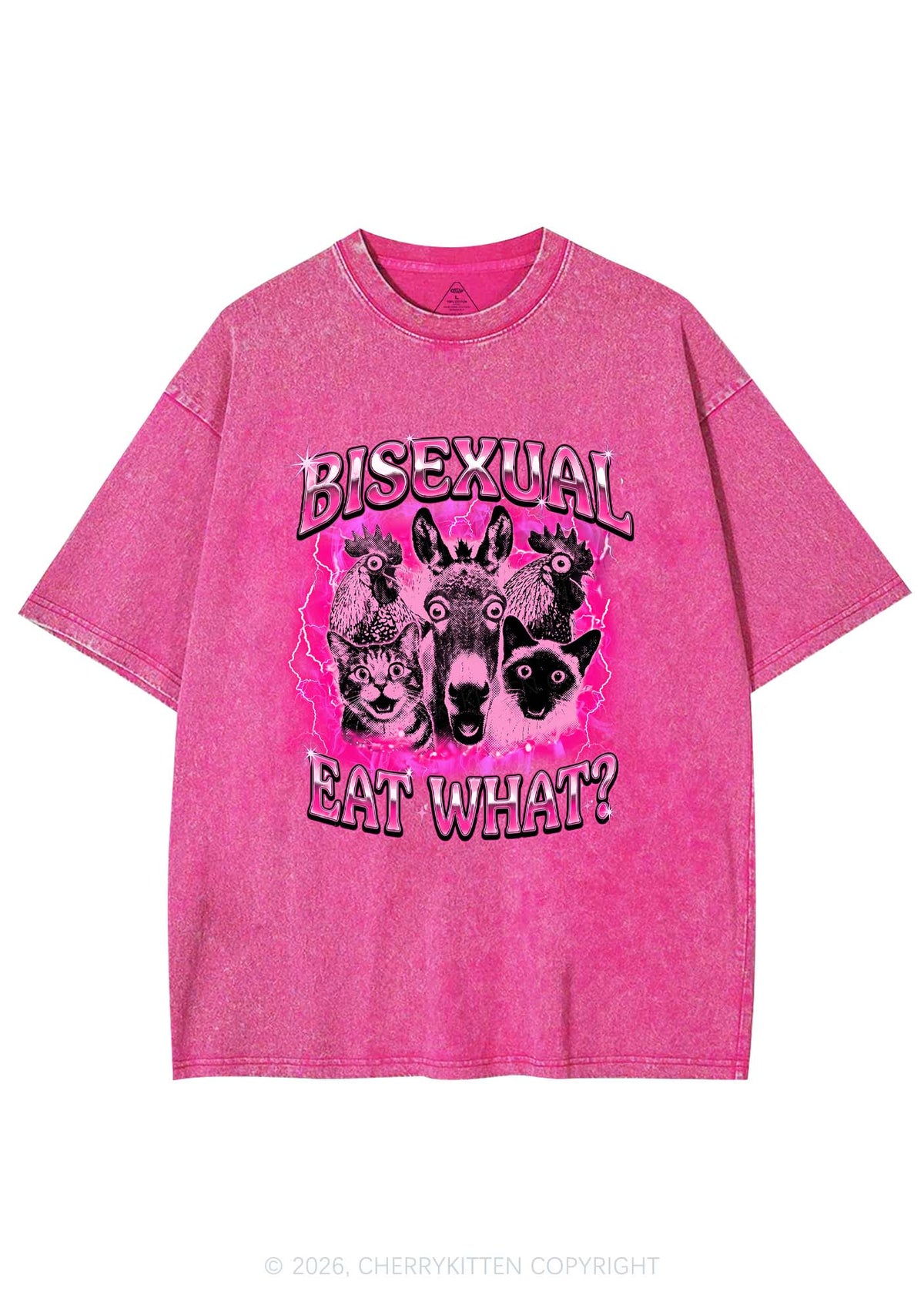 Bisexual Eat What Pride Y2K Shirts Washed Tee Cherrykitten