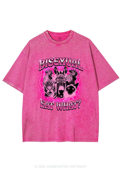 Bisexual Eat What Pride Y2K Shirts Washed Tee Cherrykitten