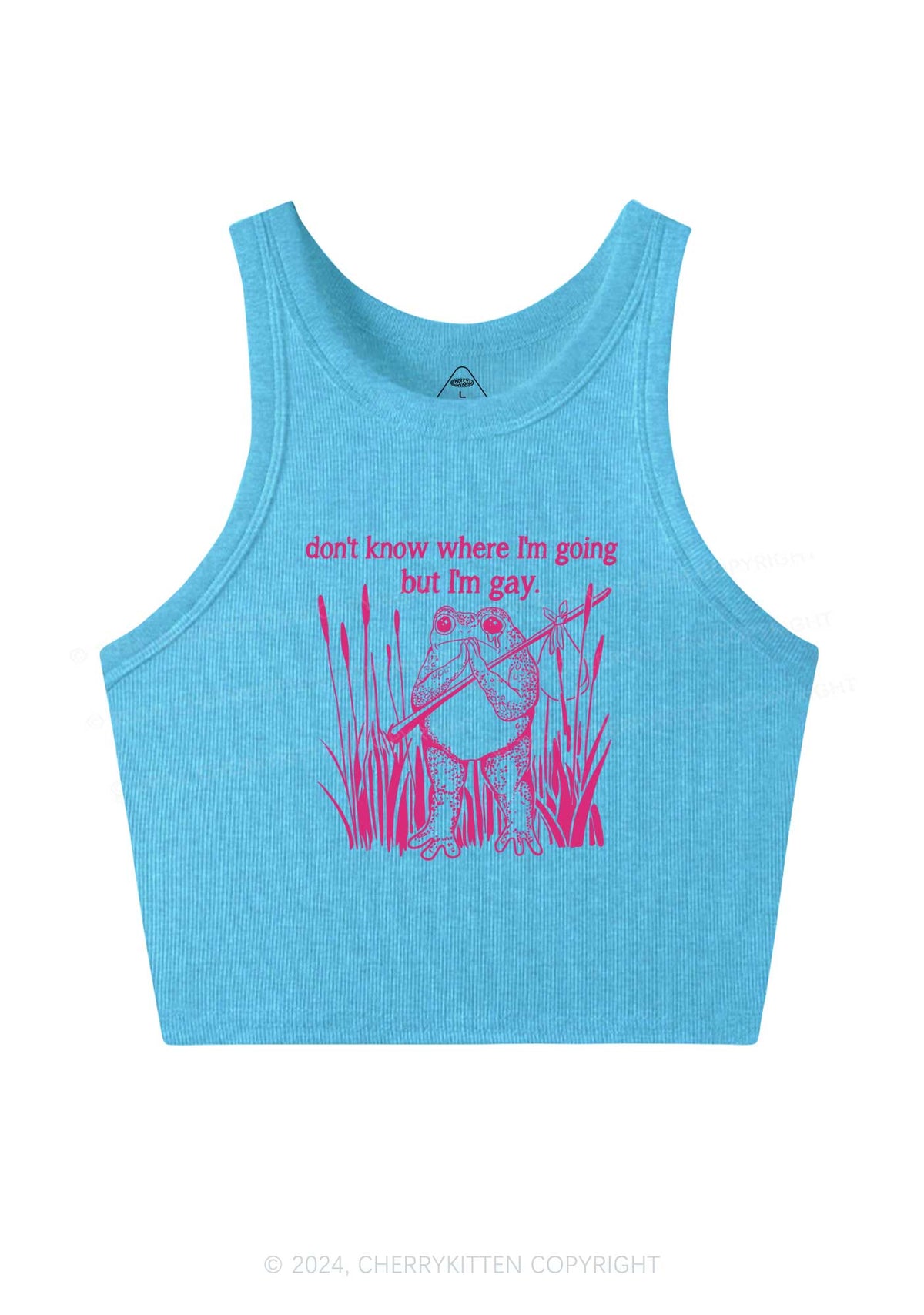 But I Am Gay Frog Pride Y2K Crop Tank Top Cherrykitten