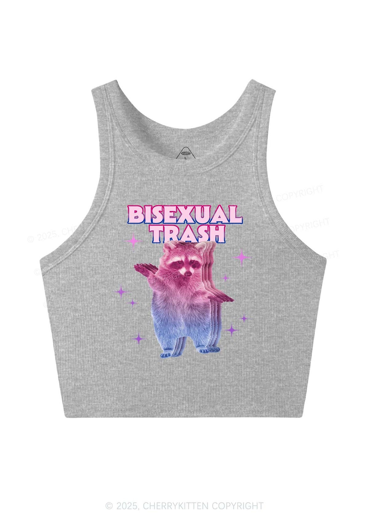 Bisexual Trash Raccoon Pride Y2K Crop Tank Top Cherrykitten