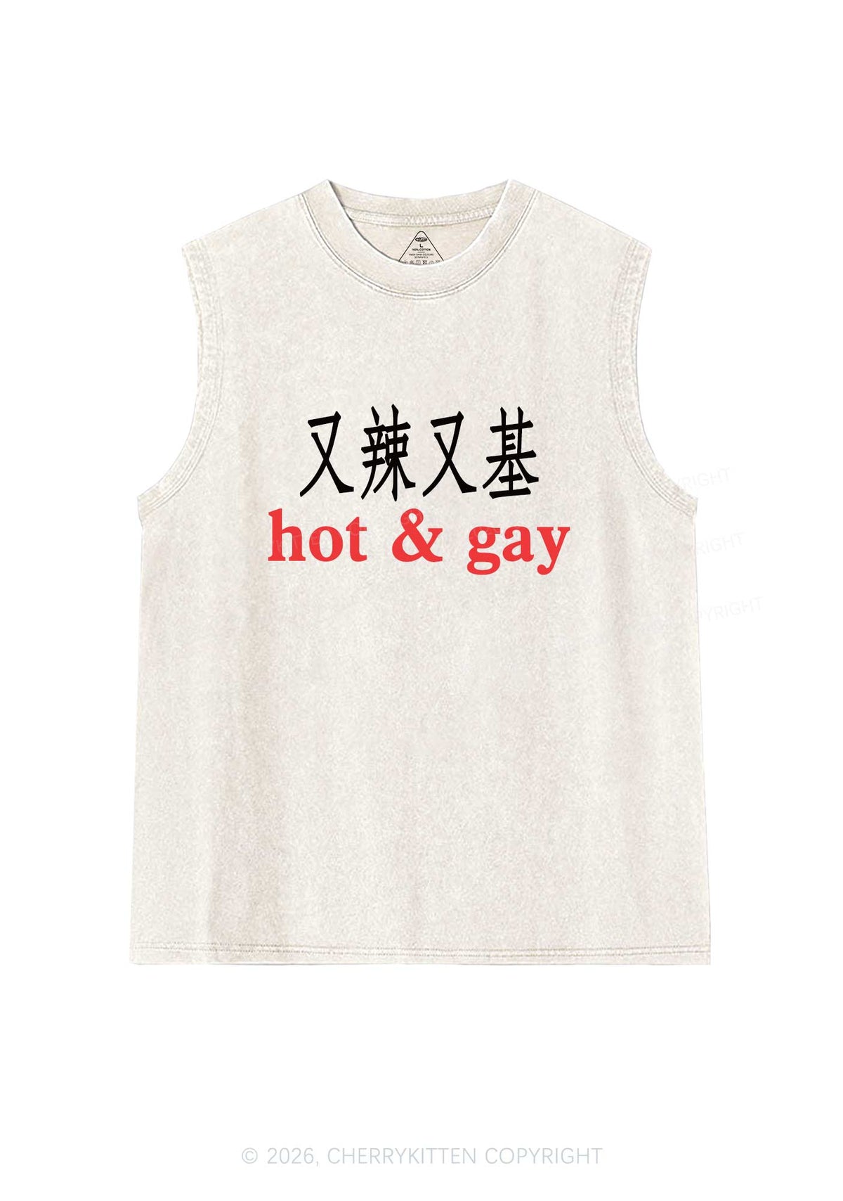 Hot Gay Pride Y2K Washed Muscle Tank Cherrykitten