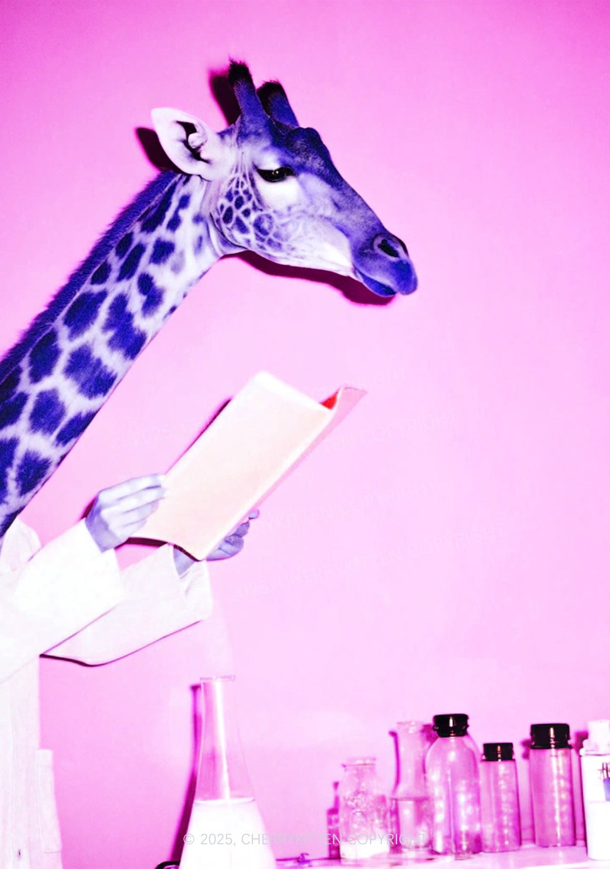 Dr Giraffe Y2K Mesh Crop Top Cherrykitten