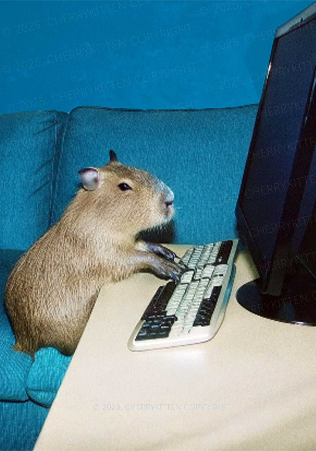 Keyboard Capybara Y2K Mesh Crop Top Cherrykitten