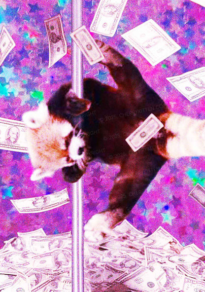 Pole Dancing Raccoon Y2K Mesh Crop Top Cherrykitten