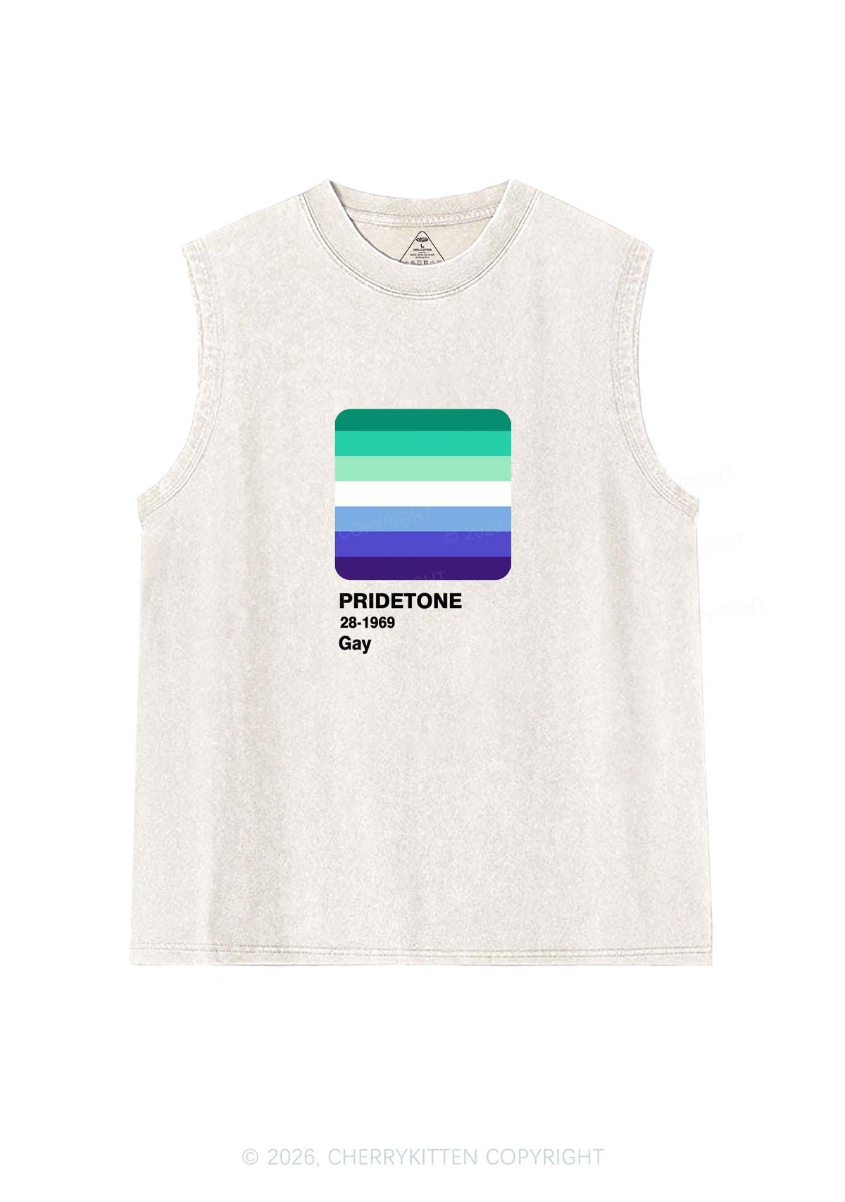 Pridetone Gay Pride Y2K Washed Muscle Tank Cherrykitten