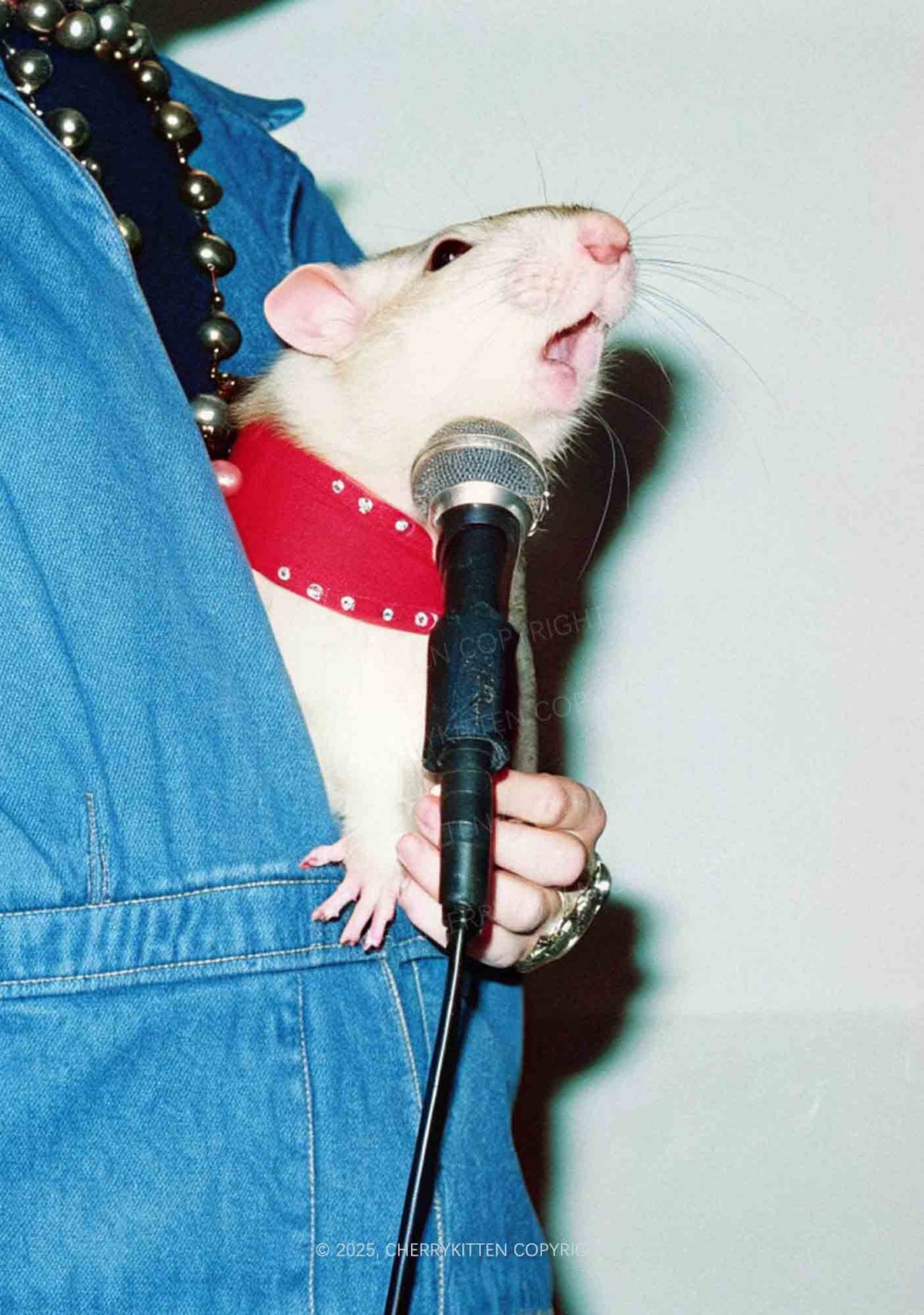 Singer Ratz Y2K Mesh Crop Top Cherrykitten