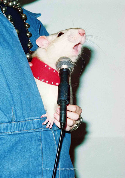Singer Ratz Y2K Mesh Crop Top Cherrykitten