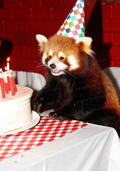 Birthday Cake Raccoon Y2K Mesh Crop Top Cherrykitten