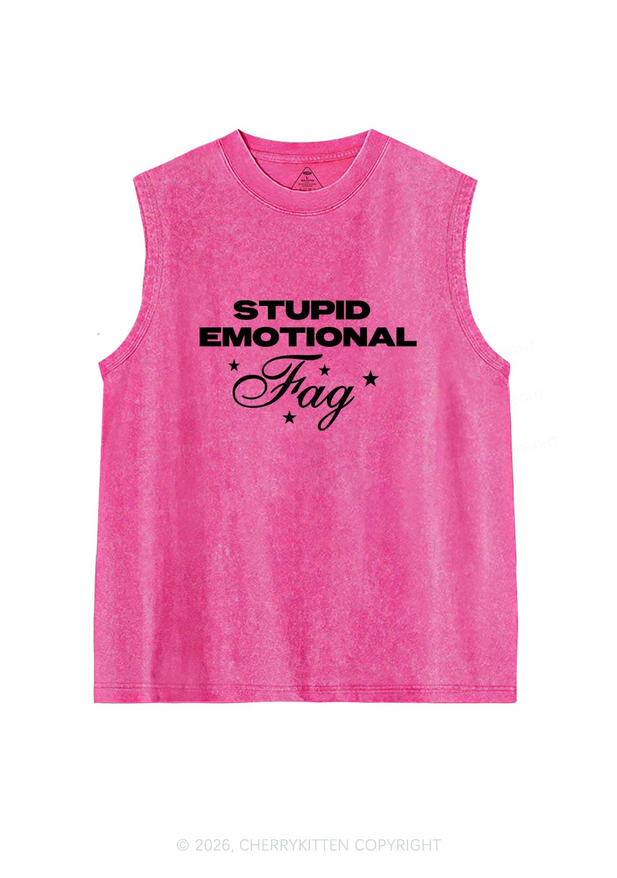 Stupid Emotional Fag Pride Y2K Washed Muscle Tank Cherrykitten
